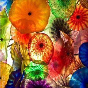 Meet your Posher, Annie